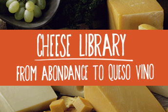 Cheese Library: From Abondance to Queso Vino Cheese library