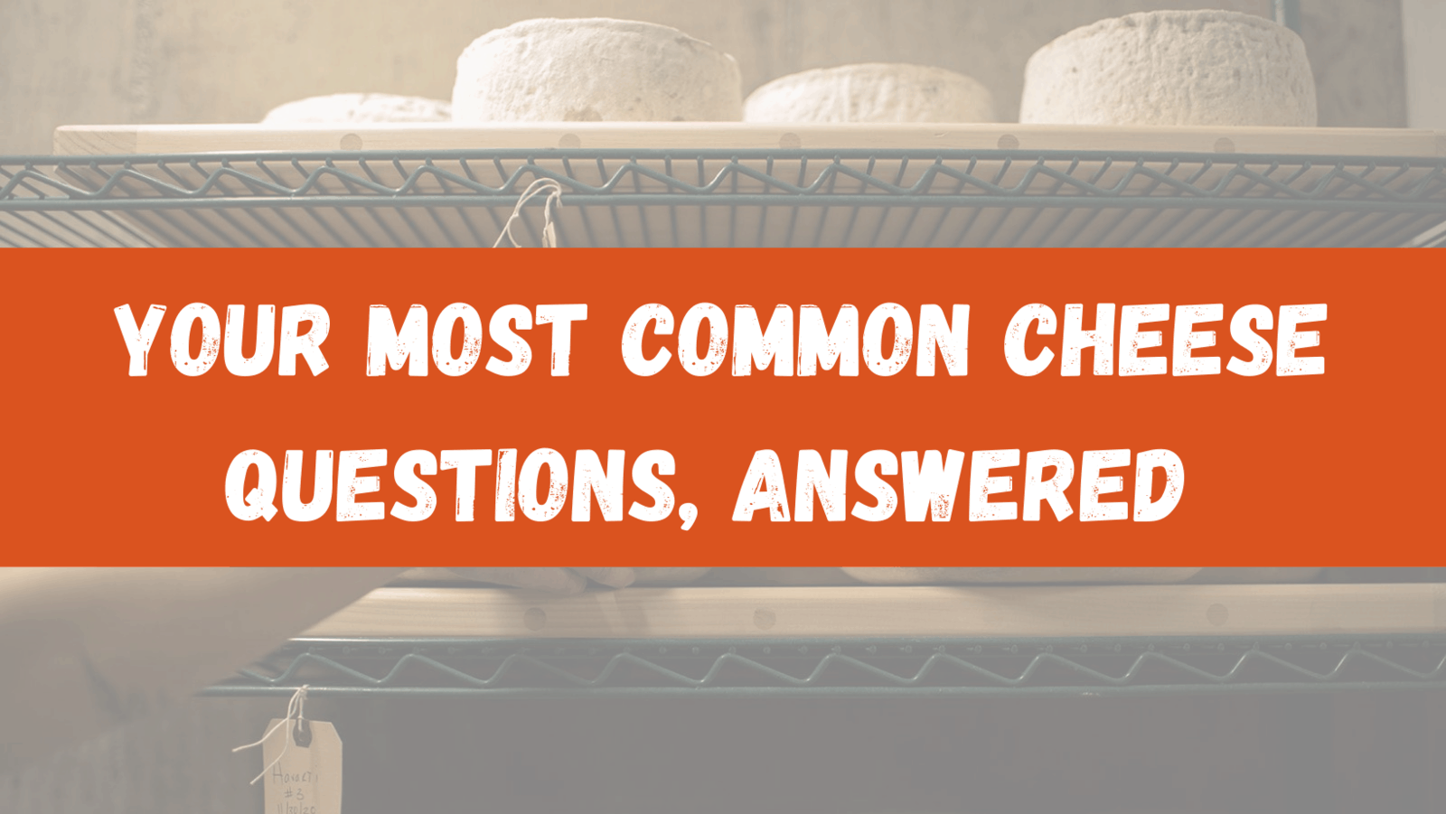 Cheese library=