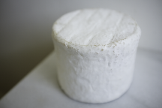 Eidolon Cheese